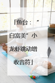 鱼台：“白富美”小龙虾跳动增收音符
